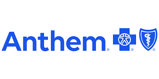 Therapists in New York